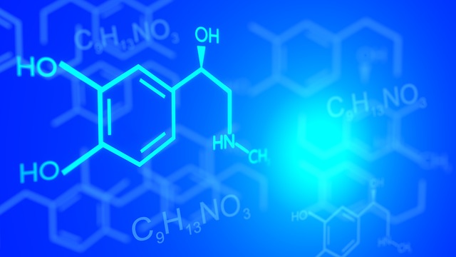 化学中的基是什么意思