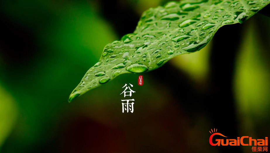 谷雨节气到底有何寓意