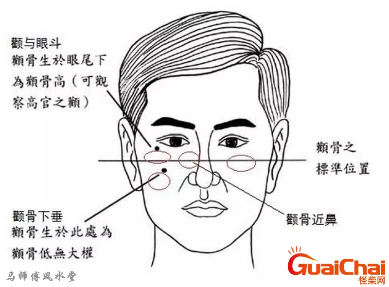 颧骨在哪个位置？颧骨高的女人