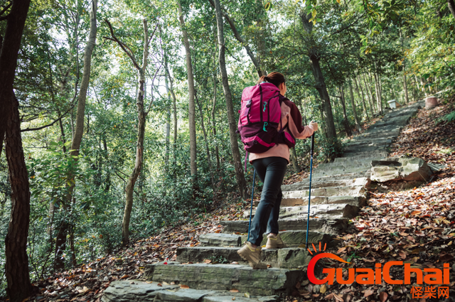 登山杖怎么选？登山杖上山需要吗?