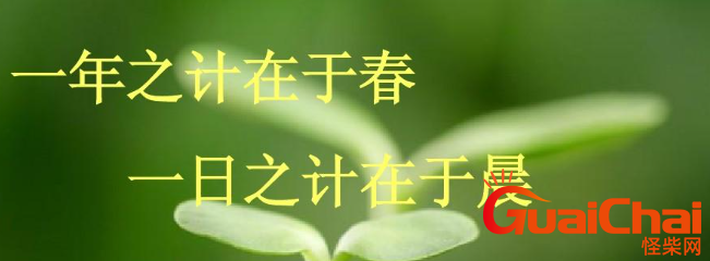 一年之计在于春一日之计在于晨是什么意思？一年之计在于春一日之计在于晨出自哪？