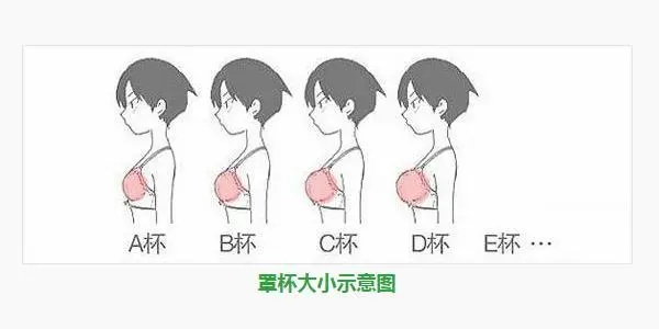 胸部罩杯abcd怎么计算？罩杯abcd怎么计算胸围