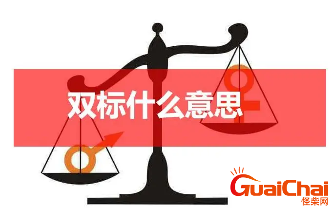 什么是双标   双标的意思是啥