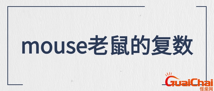 mouse的复数有两种 mouse的复数怎么读