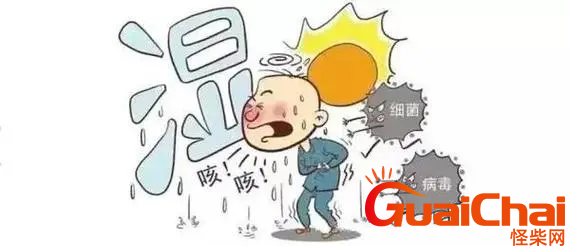 三伏天意思是什么？三伏天怎么去湿气？