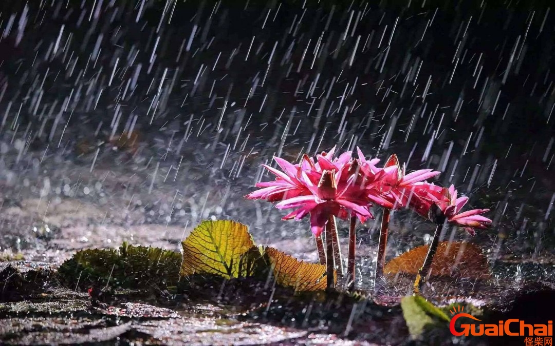 梅雨季节是什么时间2023浙江？江浙沪梅雨季节是什么时间