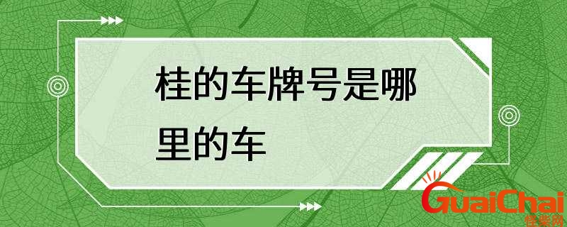 桂a是哪里的车牌号码在哪个区？桂a是哪里的车牌号码啊