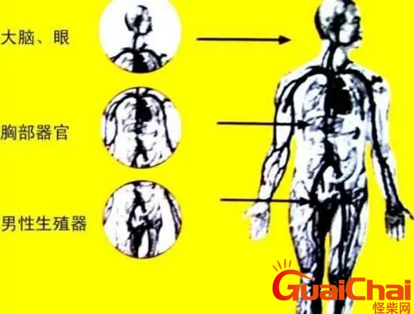 八个症状证明你被辐射怎么办？八个症状证明你被辐射几天能会出现？