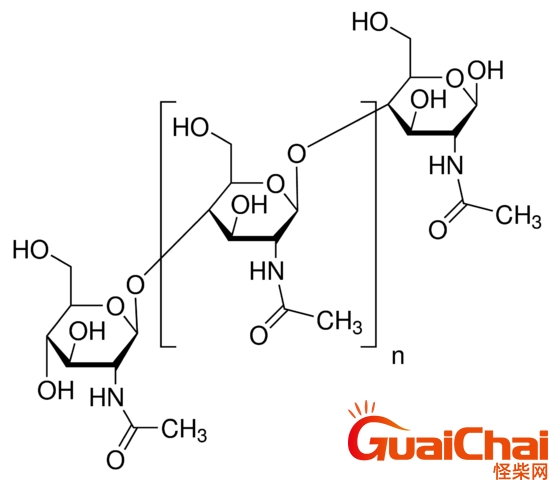 几丁质单体是啥？几丁质是多糖的吗