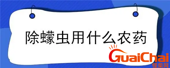 蠓虫子如何消灭？蠓虫怎样消灭？