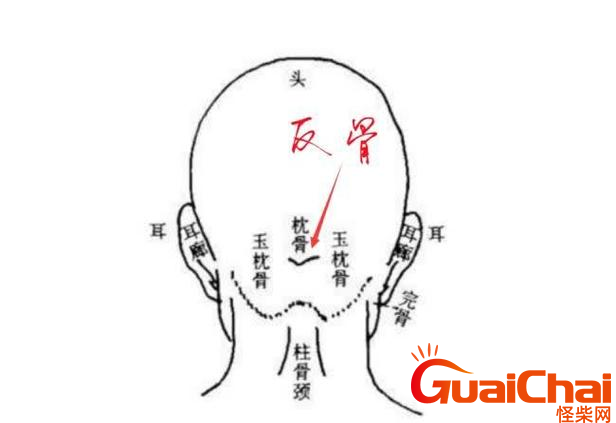 反骨是什么意思？反骨的命运怎么样？