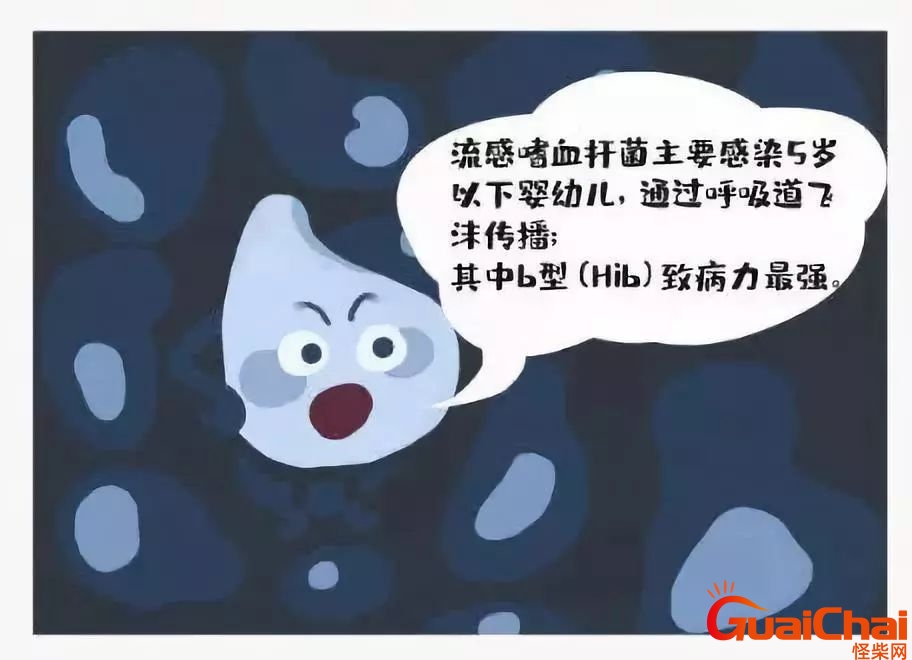 hib疫苗是什么意思？hib疫苗