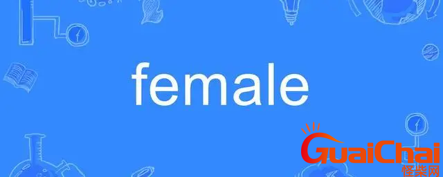 female的意思是什么？female的翻译是什么？