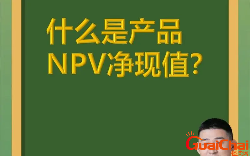 npv的意思是什么？npv指的是什么意思？