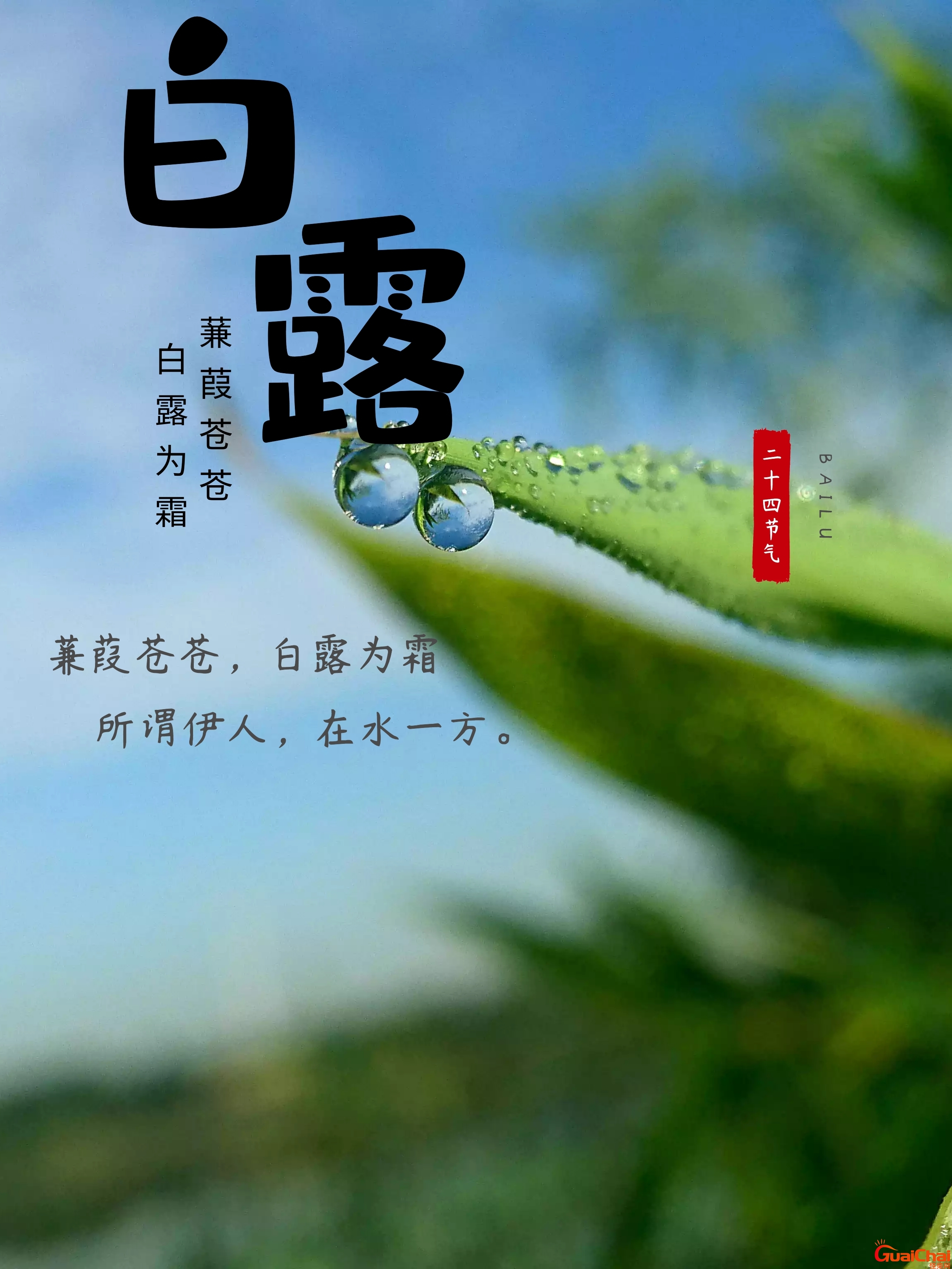 白露节气的含义是什么？白露节气寓意和传统