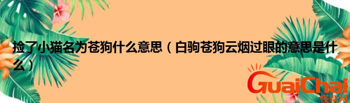 苍狗是什么意思？白云苍狗是什么意思?