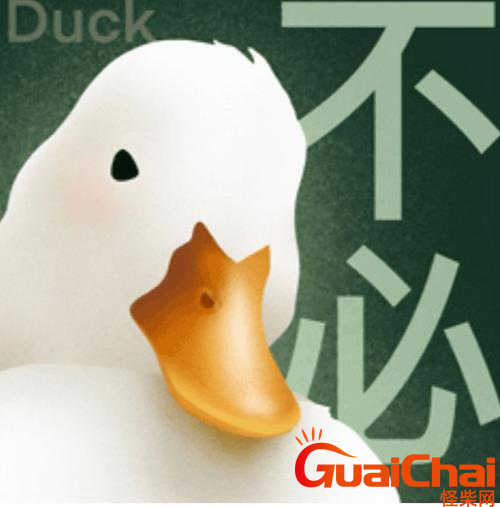 duck不必什么梗？duck不必的意思是什么？