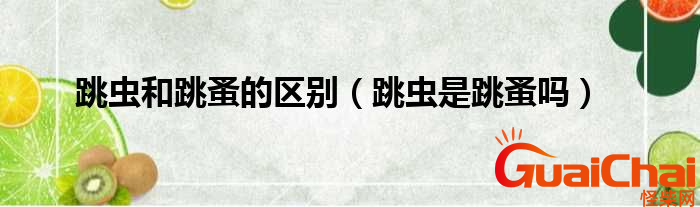 跳虫是什么？跳虫和跳蚤的区别是什么？