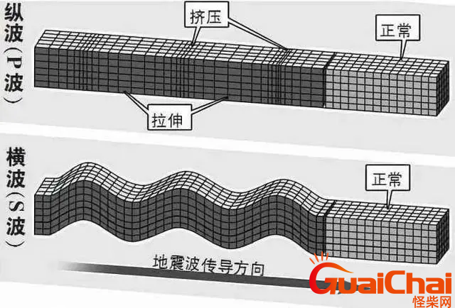 横波与纵波的区别是什么？横波与纵波各有什么特点？