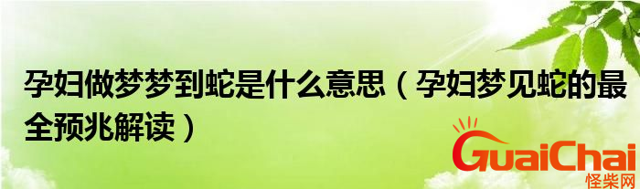 孕妇梦到蛇有什么寓意？孕妇梦到蛇是什么征兆？