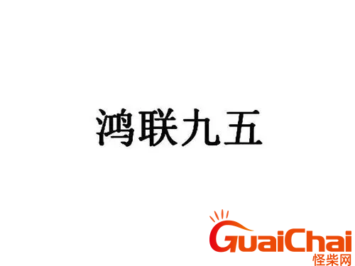 鸿联九五公司是做什么的？鸿联九五是什么公司？