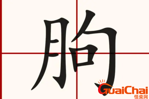 朐字的意思是什么？朐字如何读？