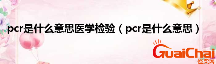 pcr是什么东西？pcr是什么意思？