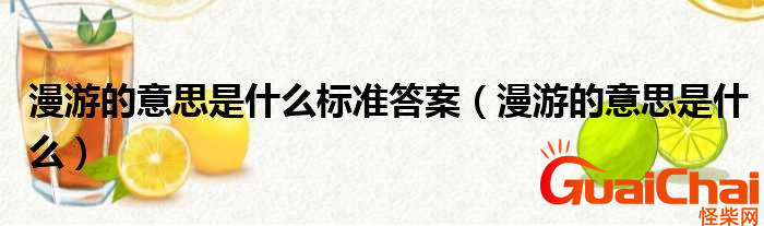 漫游的含义是什么？主要表达的是是什么？