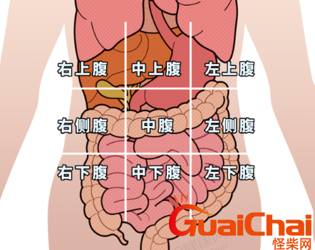 阑尾炎是哪个部位疼？腹部不同部位疼痛对应原因有哪些？