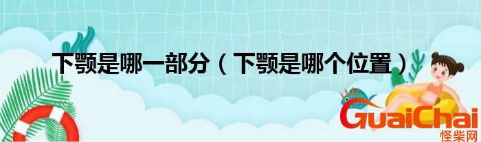 下颚是哪里？下颚是什么意思？