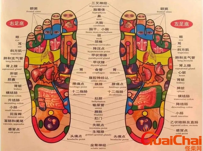 足底反射区准确位置 足底反射区疼痛说明什么