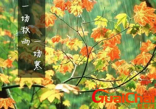 一场秋雨一场寒发朋友圈的句子-一场秋雨一场寒心情说说